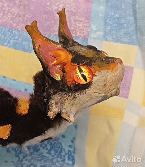 Сол Коты воители