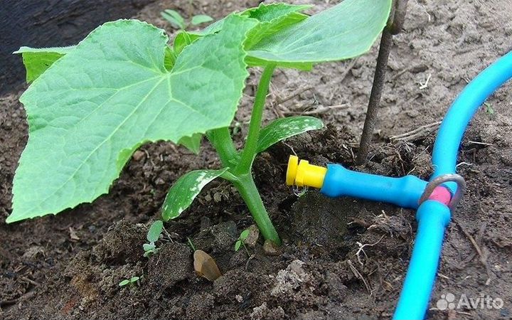 Капельный полив Набор «6 метра»