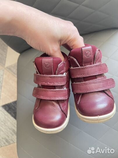 Ботинки демисезонные ecco для девочки 21