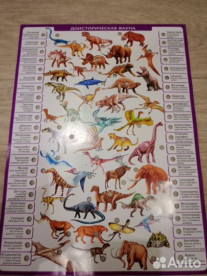 Энциклопедия conector