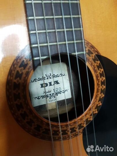 Классика Dia120 массив ели + трансдюсеры