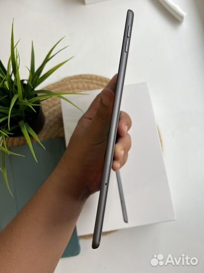 iPad Mini 5 Wi-Fi & Cellular рст