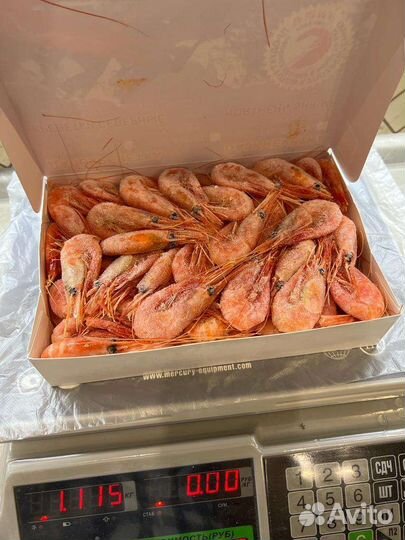 Креветка Северная