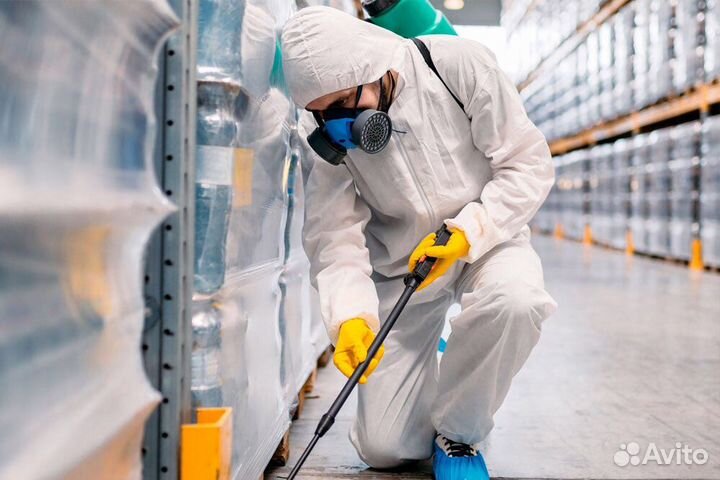 Уничтожение клопов, тараканов, крыс, мышей и т. д