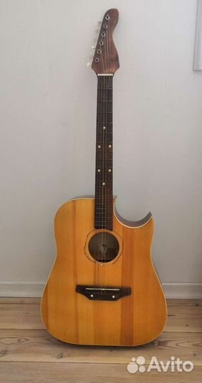 Гитара с чехлом