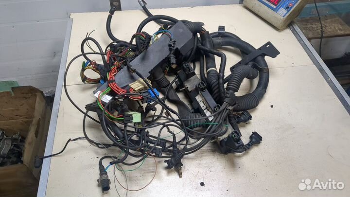 Жгут управления двигателем BMW X5 E53, 2003