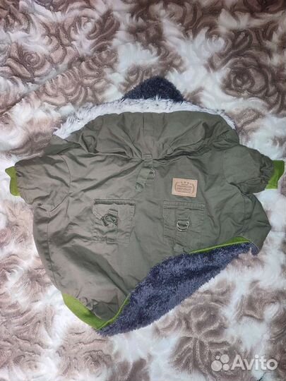 Одежда для маленьких собак L