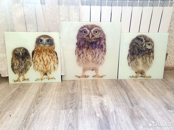 Картины на стекле Сова