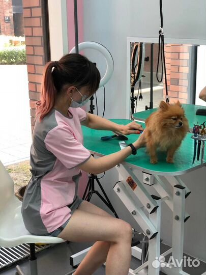 Ищем модель на груминг