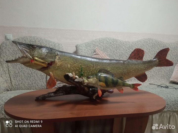 Чучело щуки