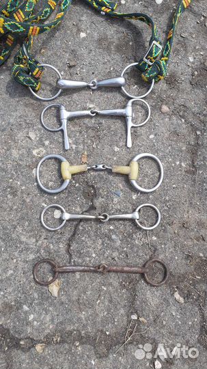 Амуниция для лошади