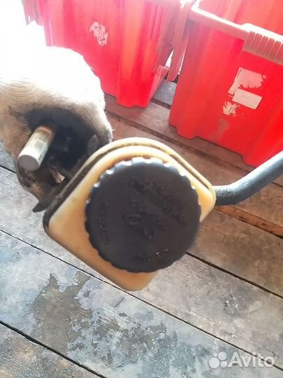 Бачек гур део магнус, шевролет эванда