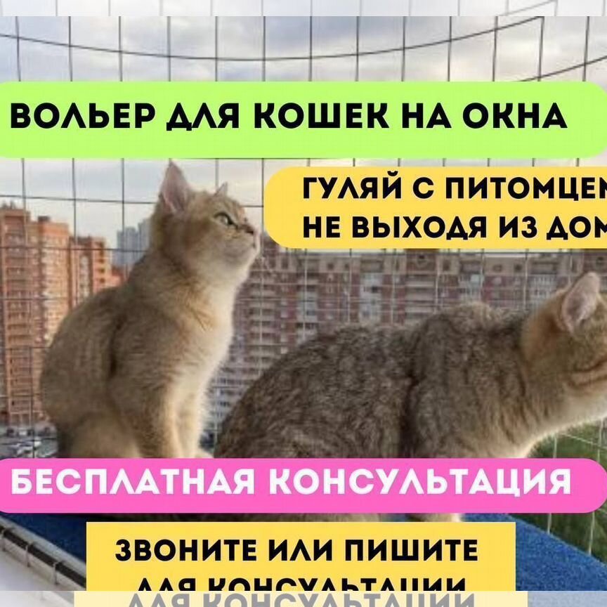 Балкончик для кошек/выгул