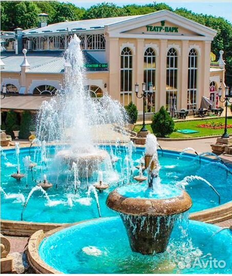 Попутчица в Минводы