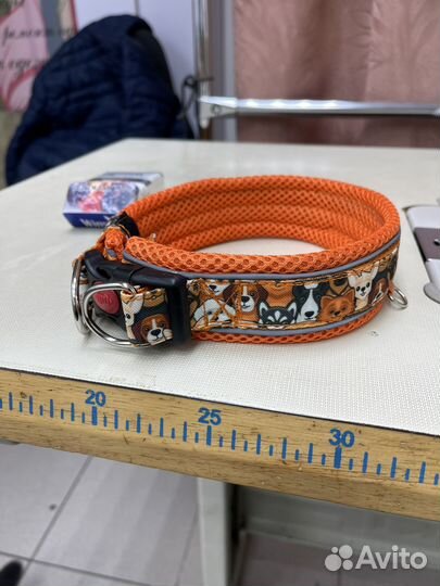 Ошейники и поводки для собак