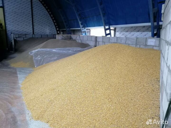 Корма для с/х птицы