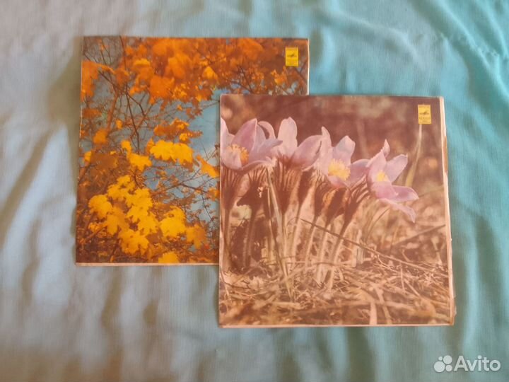 Виниловые пластинки демонстрация стереозвучания