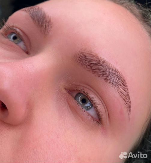 Брови/Натуральные брови/Бровист