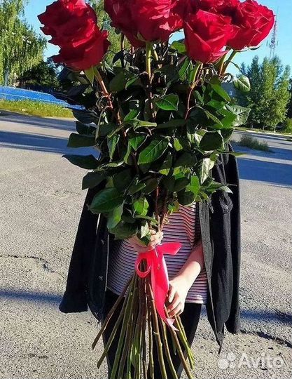 Розы Высокие 150см 160см 170см 180см 190см 2м