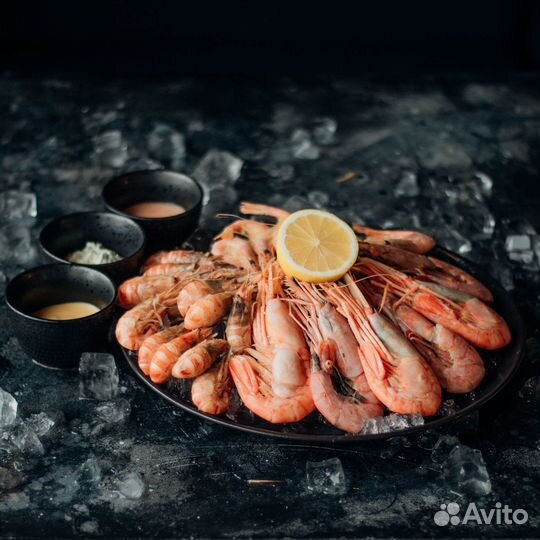 Креветка Северная