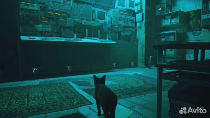 Stray (PS4)