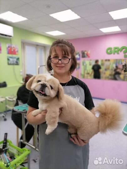 Груминг собак и кошек