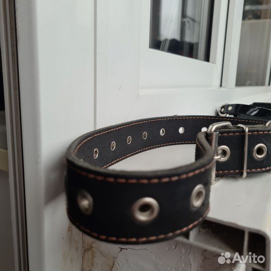 Ошейник для собак кожаный