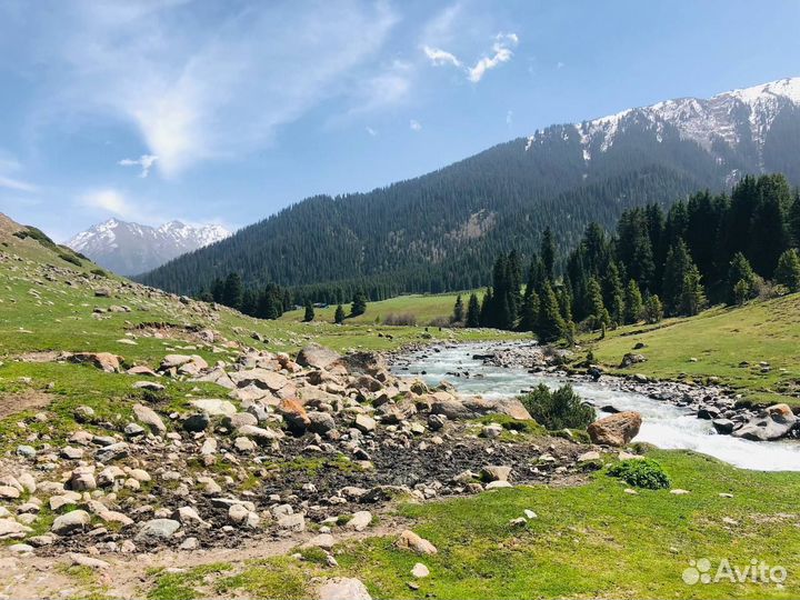 Тур авторский в Киргизию 26.05-2.06