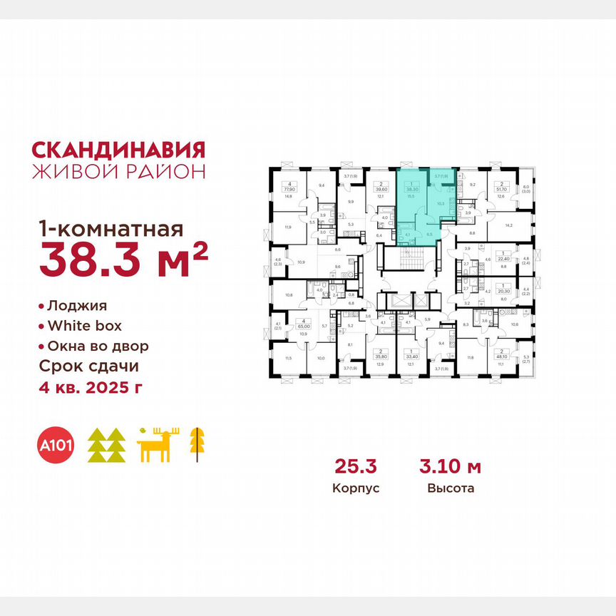 1-к. квартира, 38,3 м², 17/17 эт.