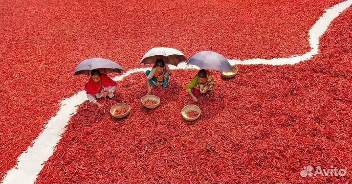 Специи и приправы оптом