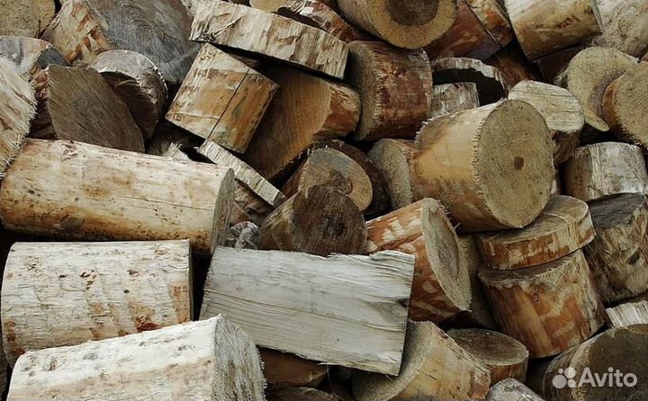 Дрова сухостой