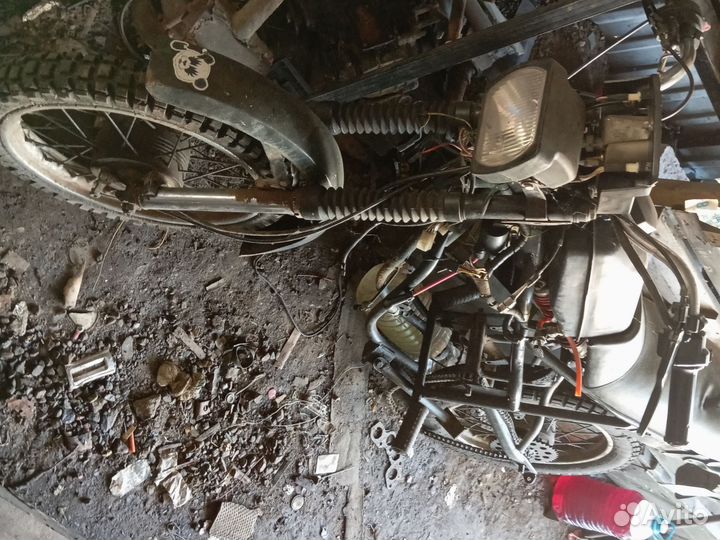 Зид 50 пилот