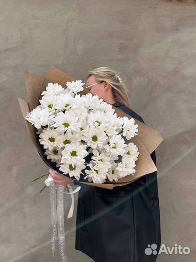 Ромашки. Хризантема ромашковидная