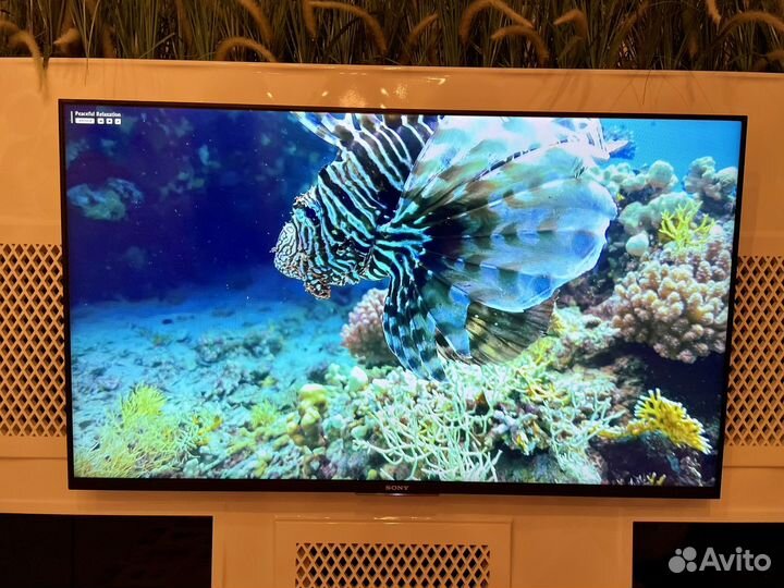 Телевизор Sony bravia kdl 50w808c