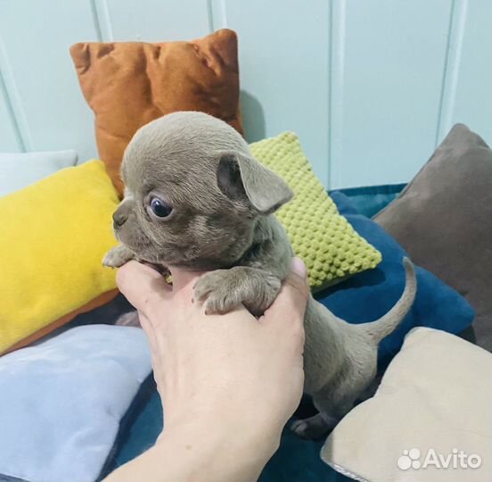 Одна на миллион