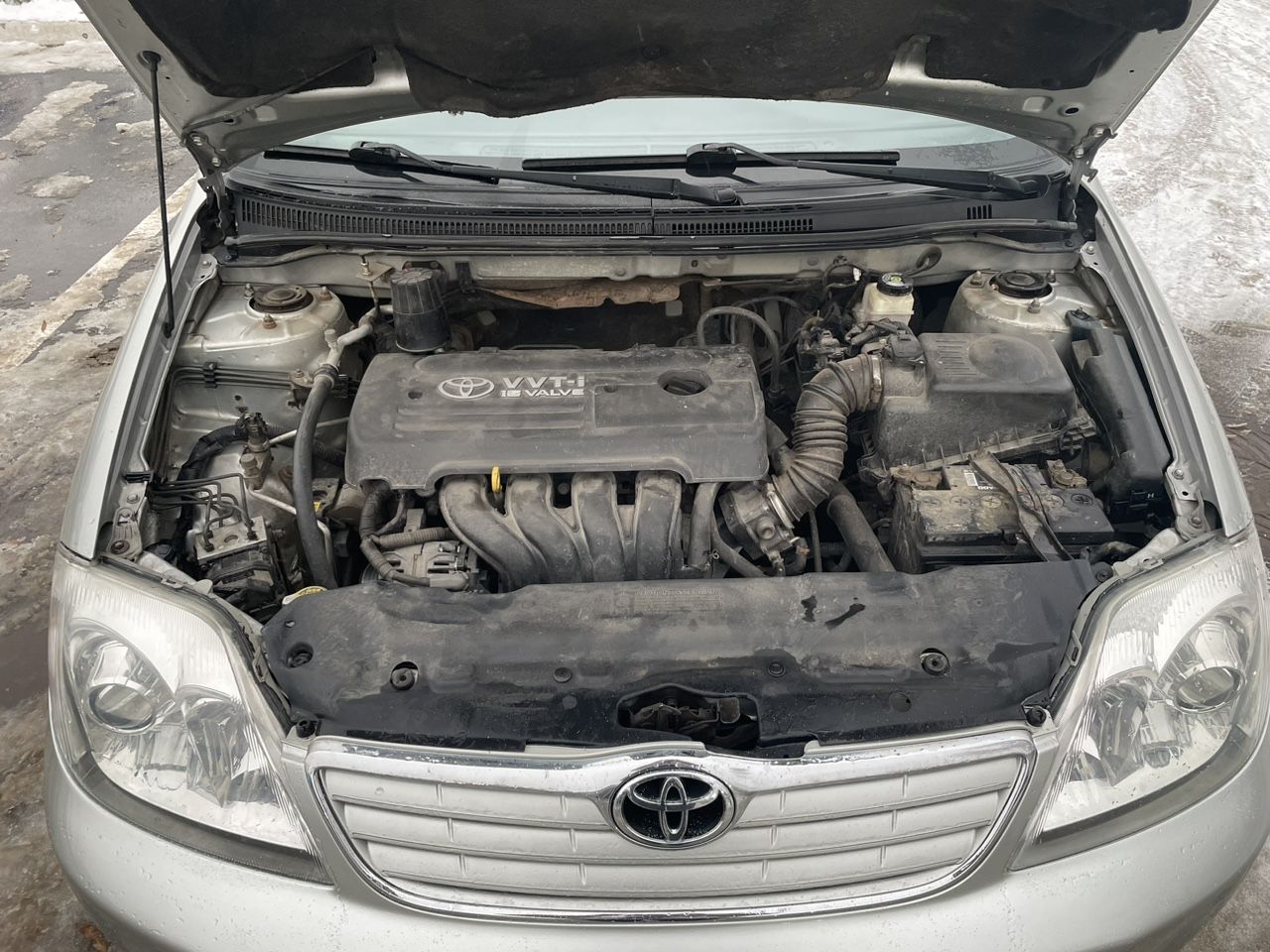 Toyota Corolla: фото владельца