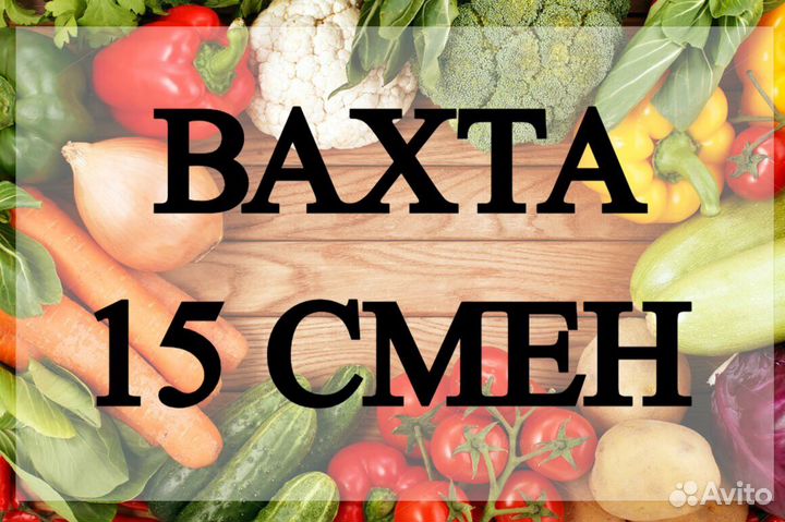 Рабочий без опыта вахта 15 смен с проживанием