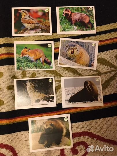 Наклейки Монетка от Урала до Ямала