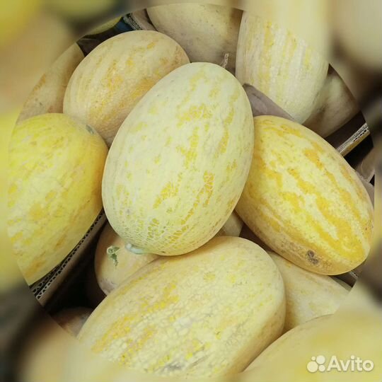 Дыня / овощи фрукты сухофрукты розница и опт