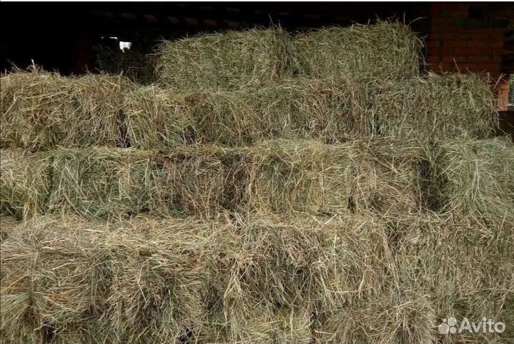 Сено разнотравье