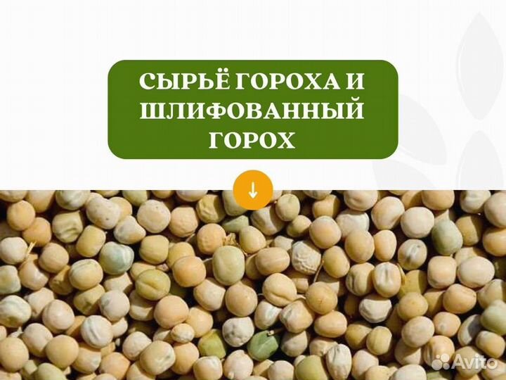 Горох с поля (сырье) (кг)