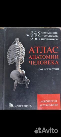 Атлас анатомии человека 3 и 4 том