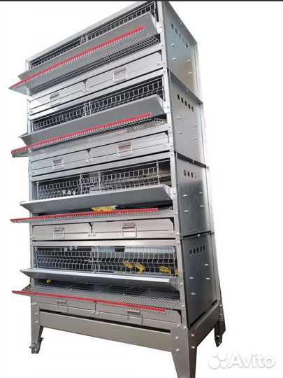 Клетка для Перепелов-Несушек