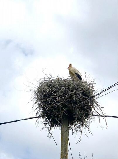 Дом 35,6 м² на участке 29 сот.