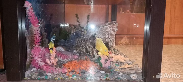 Сухой аквариум