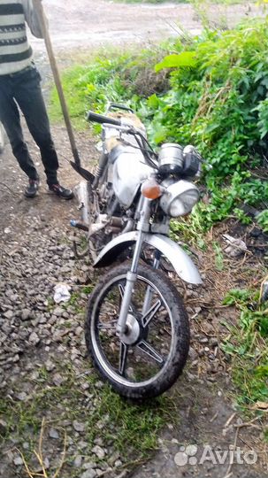 Продам рейсер альфа 70сс