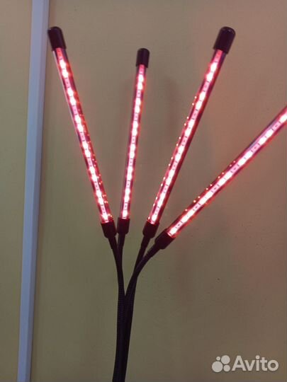 Фитолампа для растений