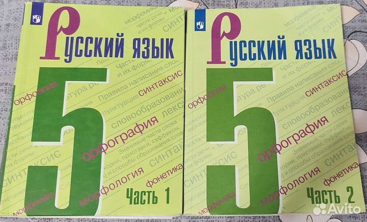 Учебники русского языка 5 класс Ладыженская Т. А