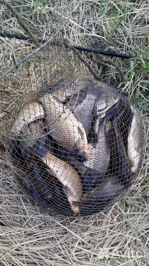 Самоподсекатель для фидерного удилища