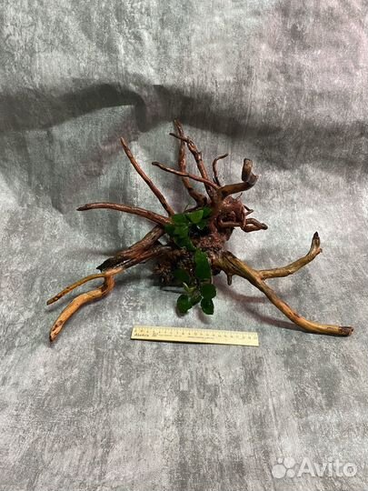 Коряги для аквариума